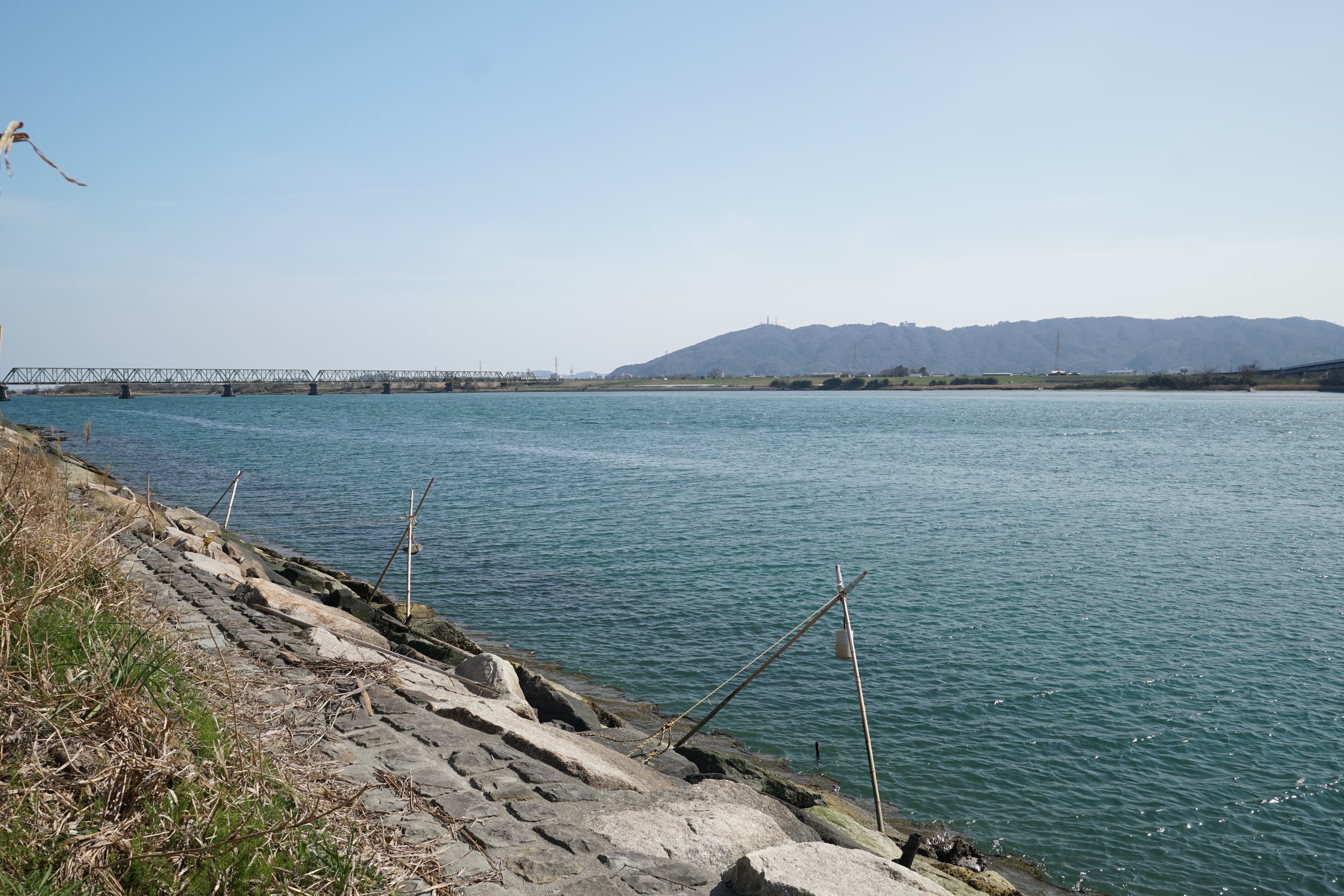 河口・汽水