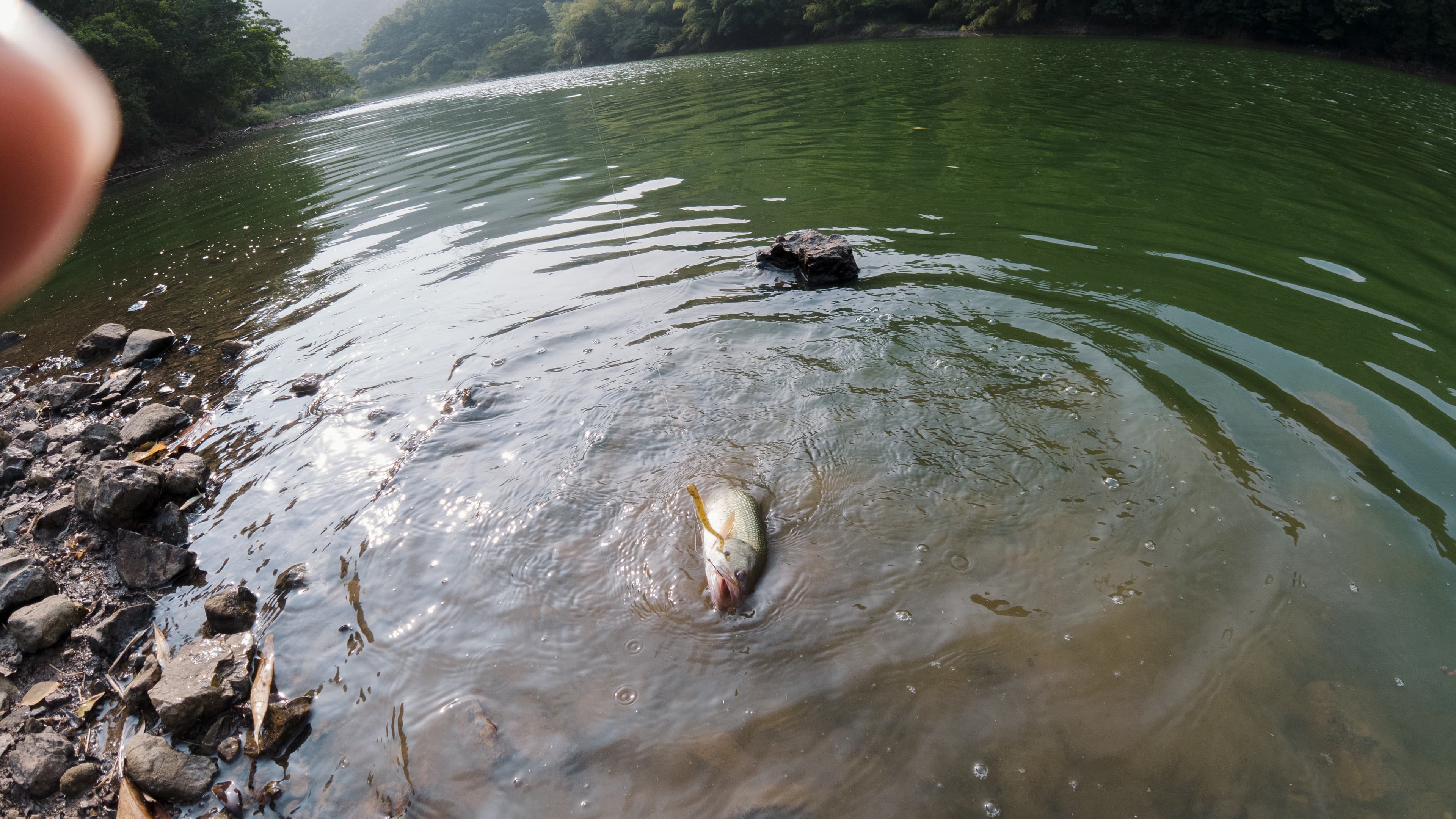 湖・野池