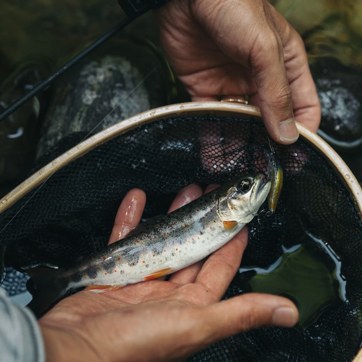 Kaifu River Clear Stream