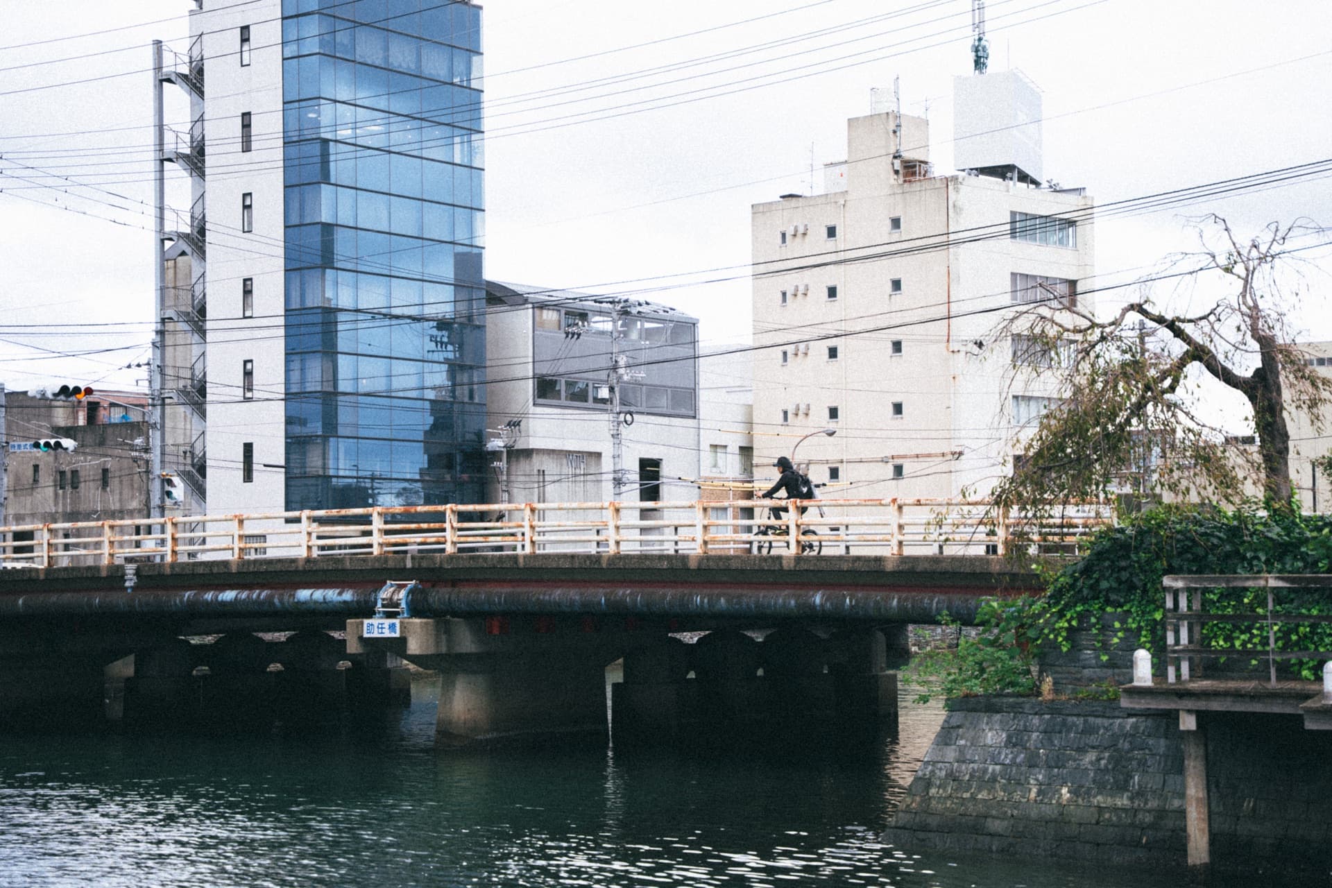 徳島市 アーバンフィッシング