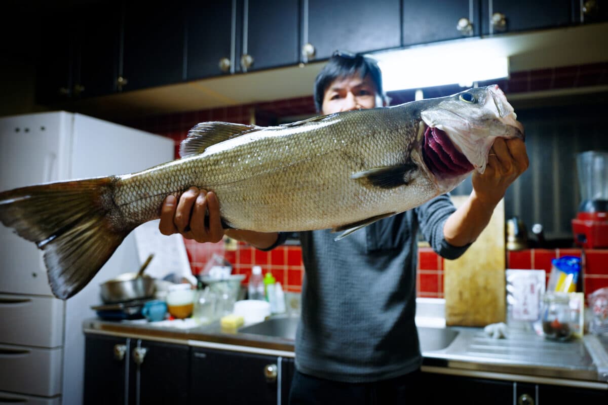 ［釣り］シュガーミノーにヒラスズキ