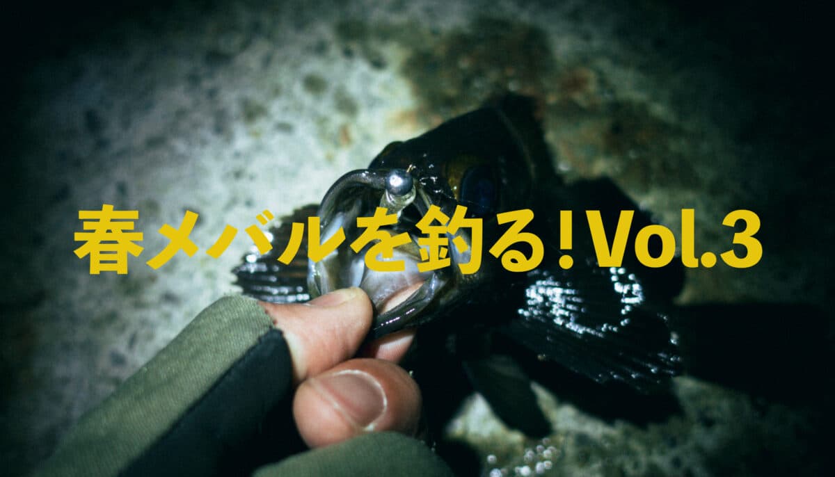 春メバルを釣る！Vol.3｜ジグヘッド×ワームの最適解