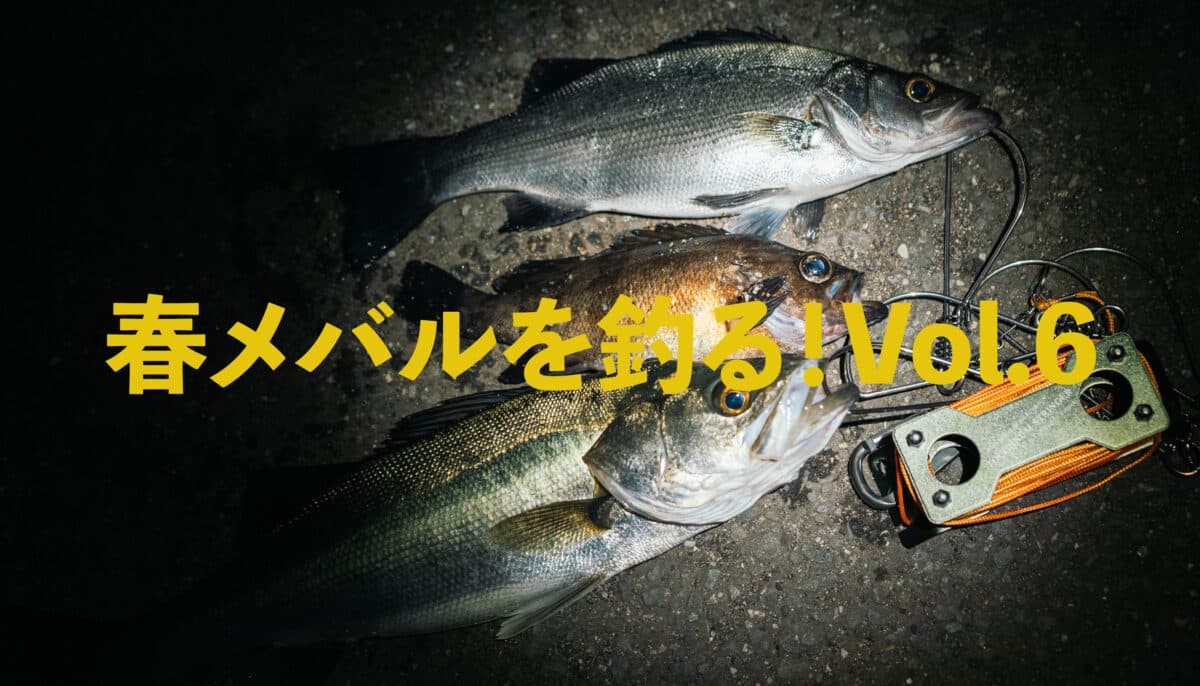 春メバルを釣る！Vol.6｜釣れない日の対処法