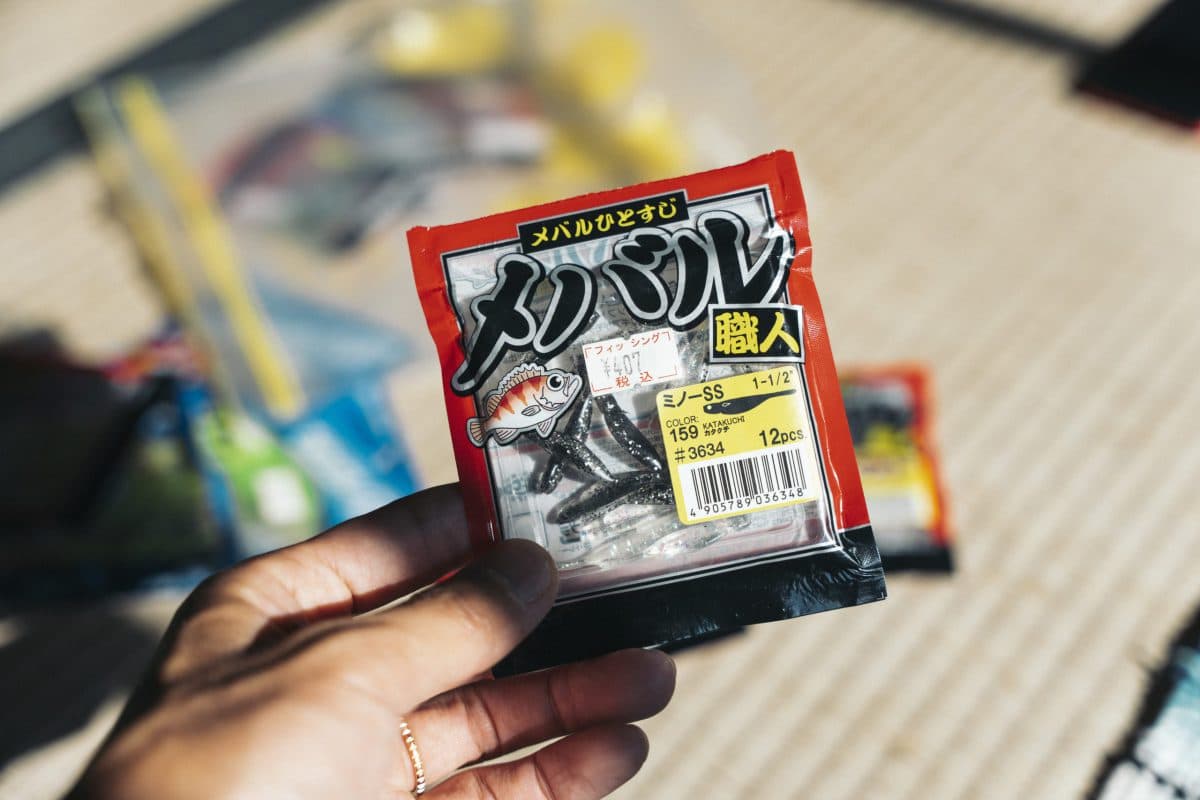 【釣り】入れぐいだったアジの群れはどこかにいった様子（2022年釣行3日目）