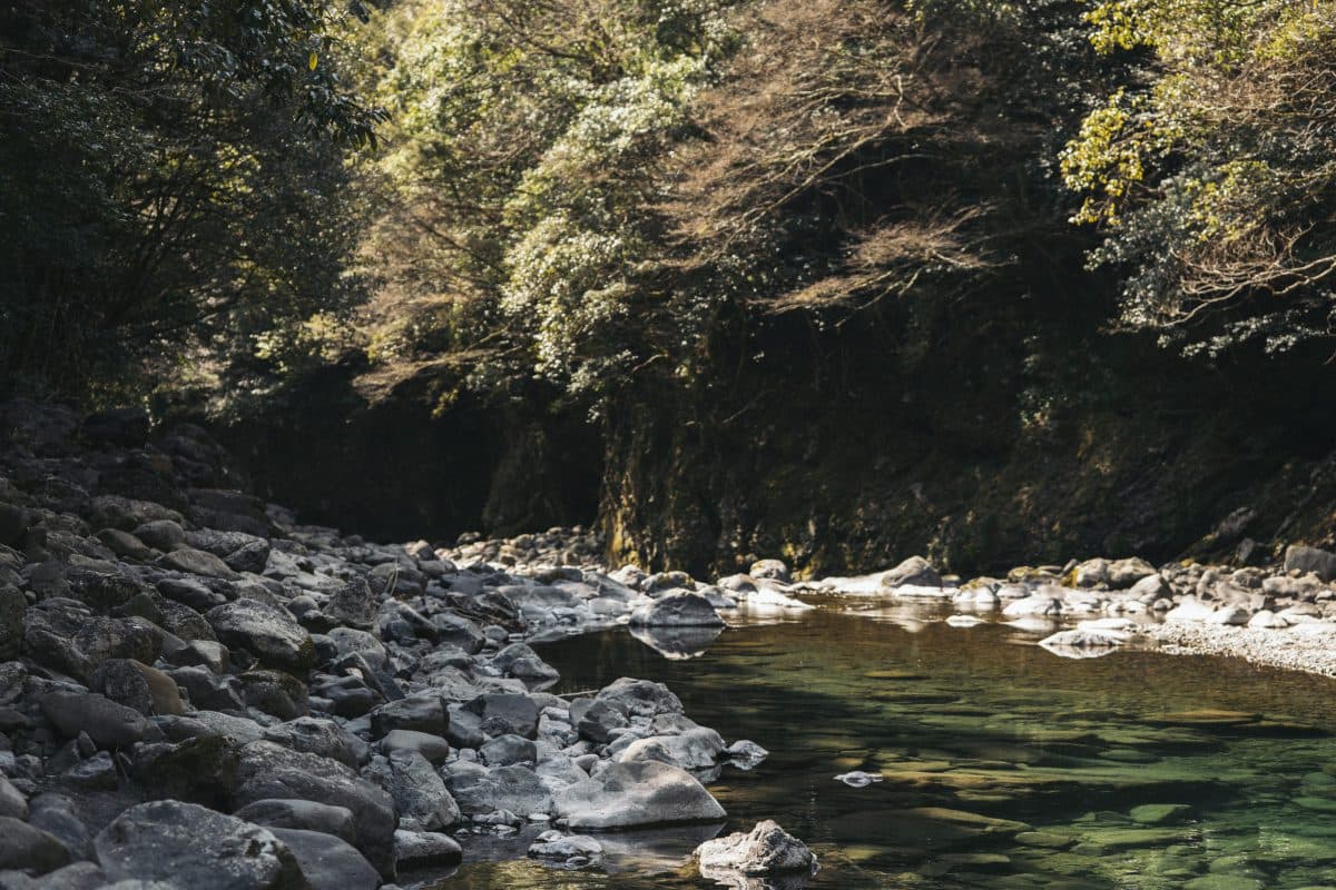 渓流が解禁したので（2022年釣行12日目）