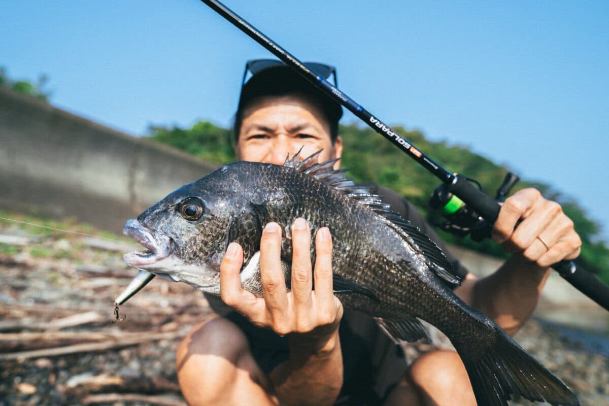【徳島市チニング】そろそろはじまるアーバンフィッシング