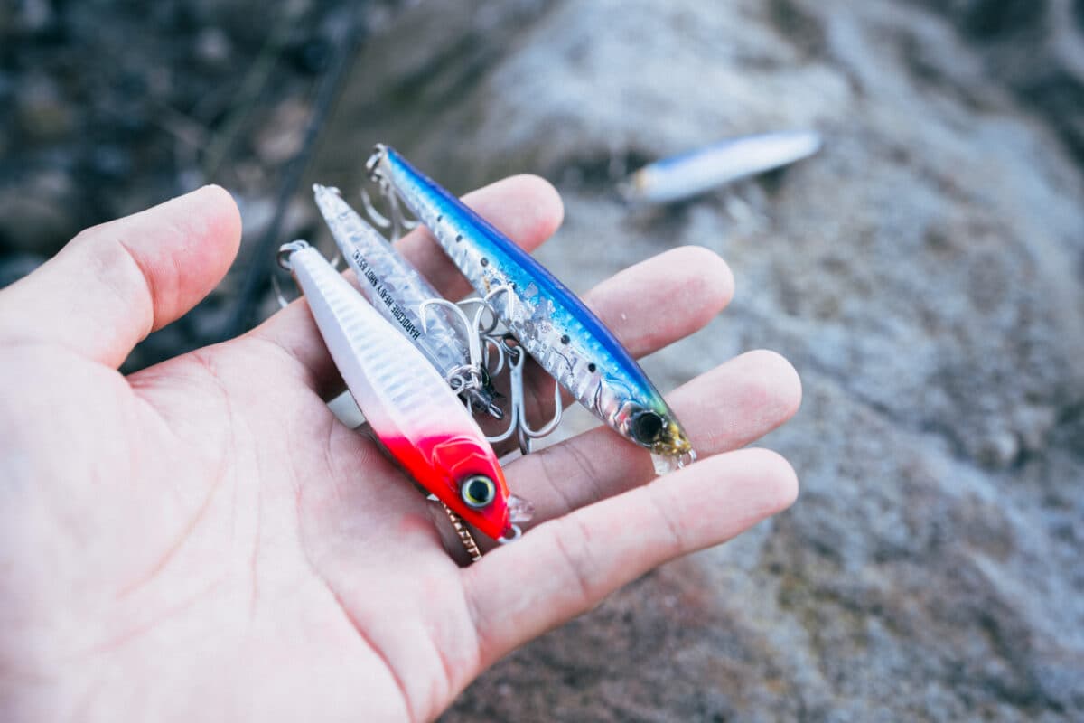 デュエル ハードコア『ヘビーショット』ULフィッシングで狙う春のブリ