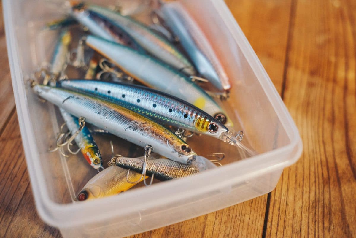 【セットアッパー125S-DR】青物は釣れるがフック交換は必須