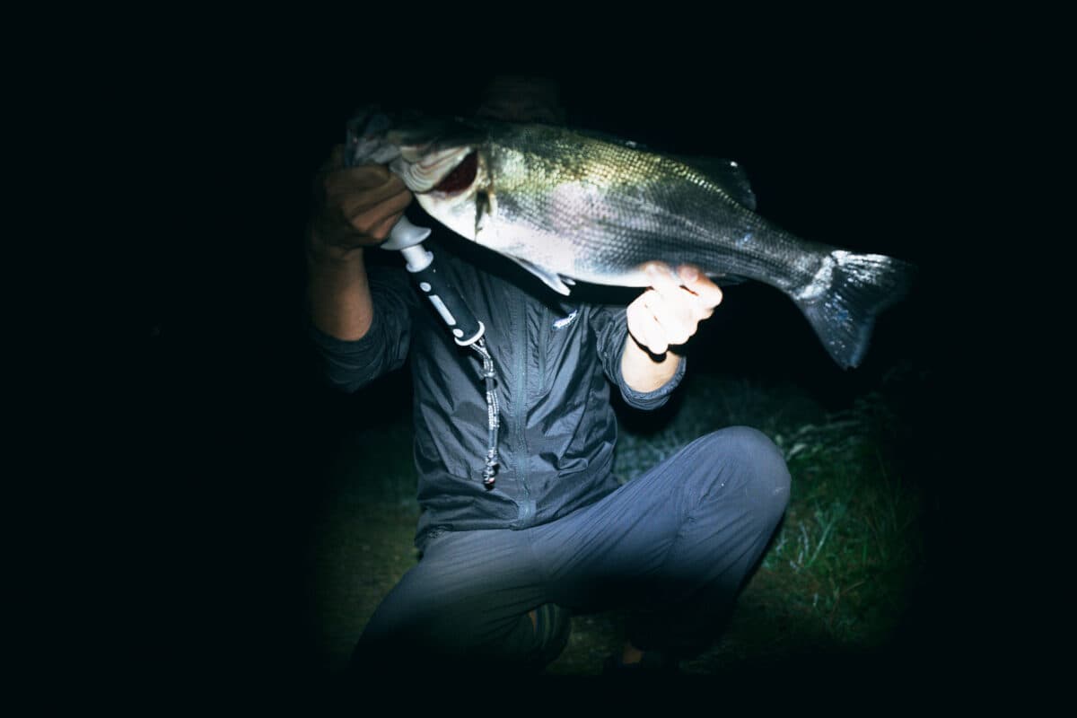 ［釣り］秋のヒラスズキ釣り