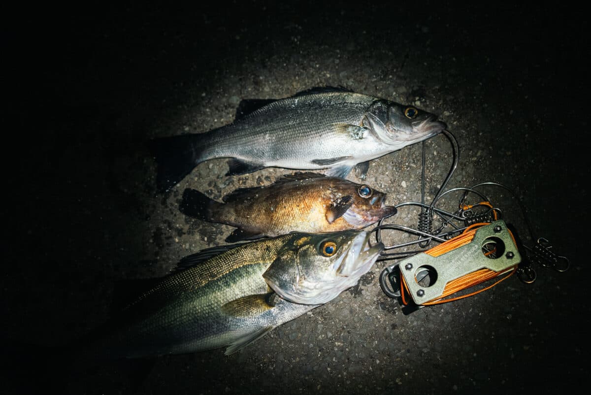 ULフィッシングの限界を探る ── 最軽量タックルでどこまで大物を狙えるか？