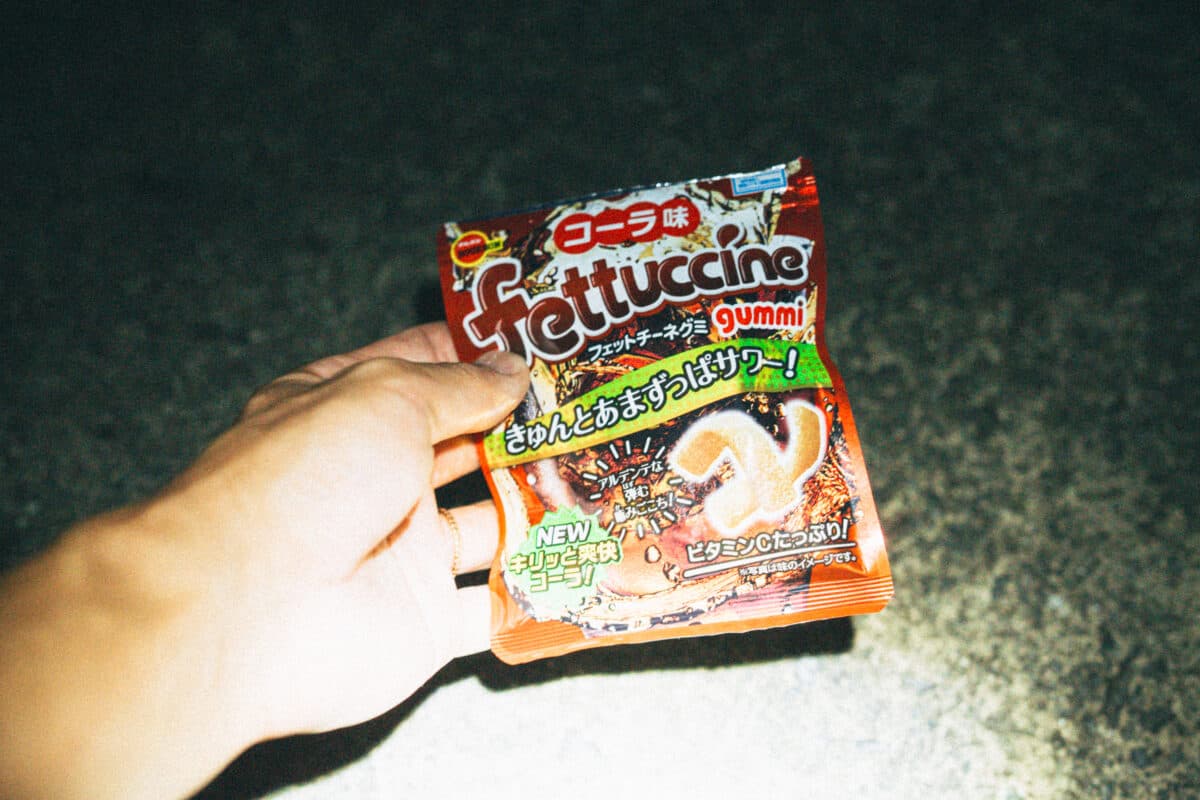 【釣り】グミの落とし込みでチヌを狙う