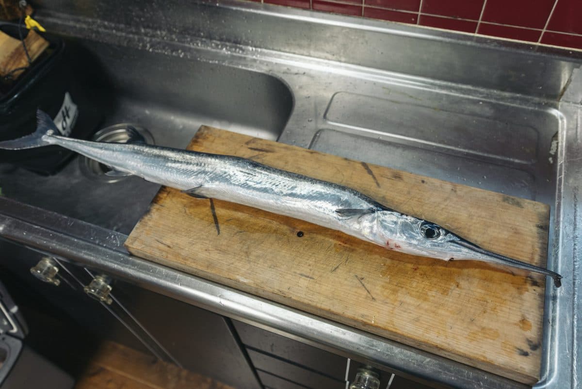 不味いと言われている魚『ダツ』を食べてみたら…