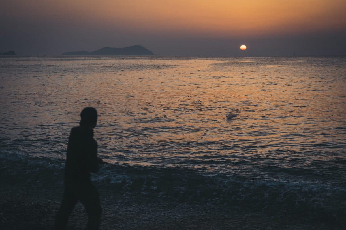 友人と青物釣りに（2022年釣行22-23日目）