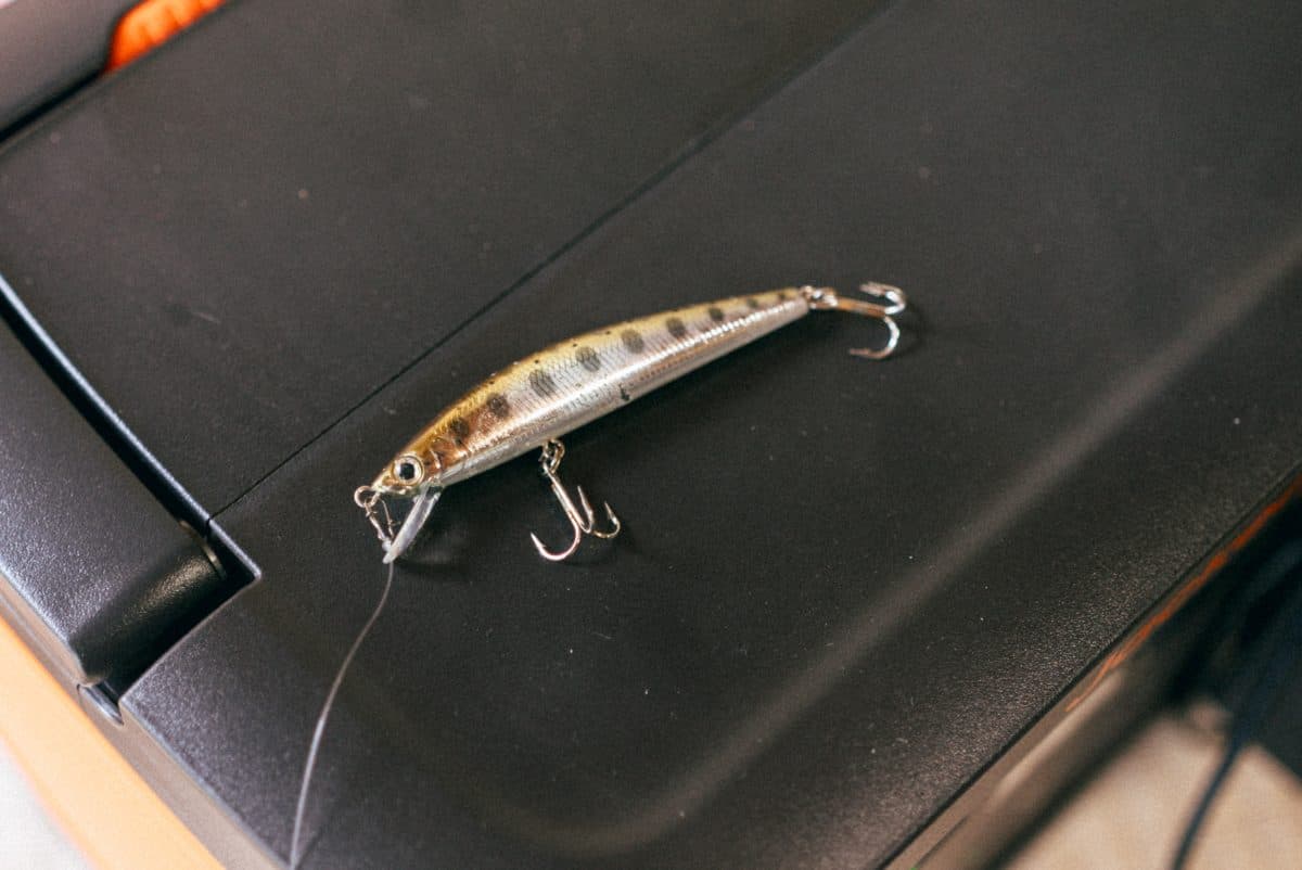 【バス釣り】二年ぶりにブラックバスを釣ってみた