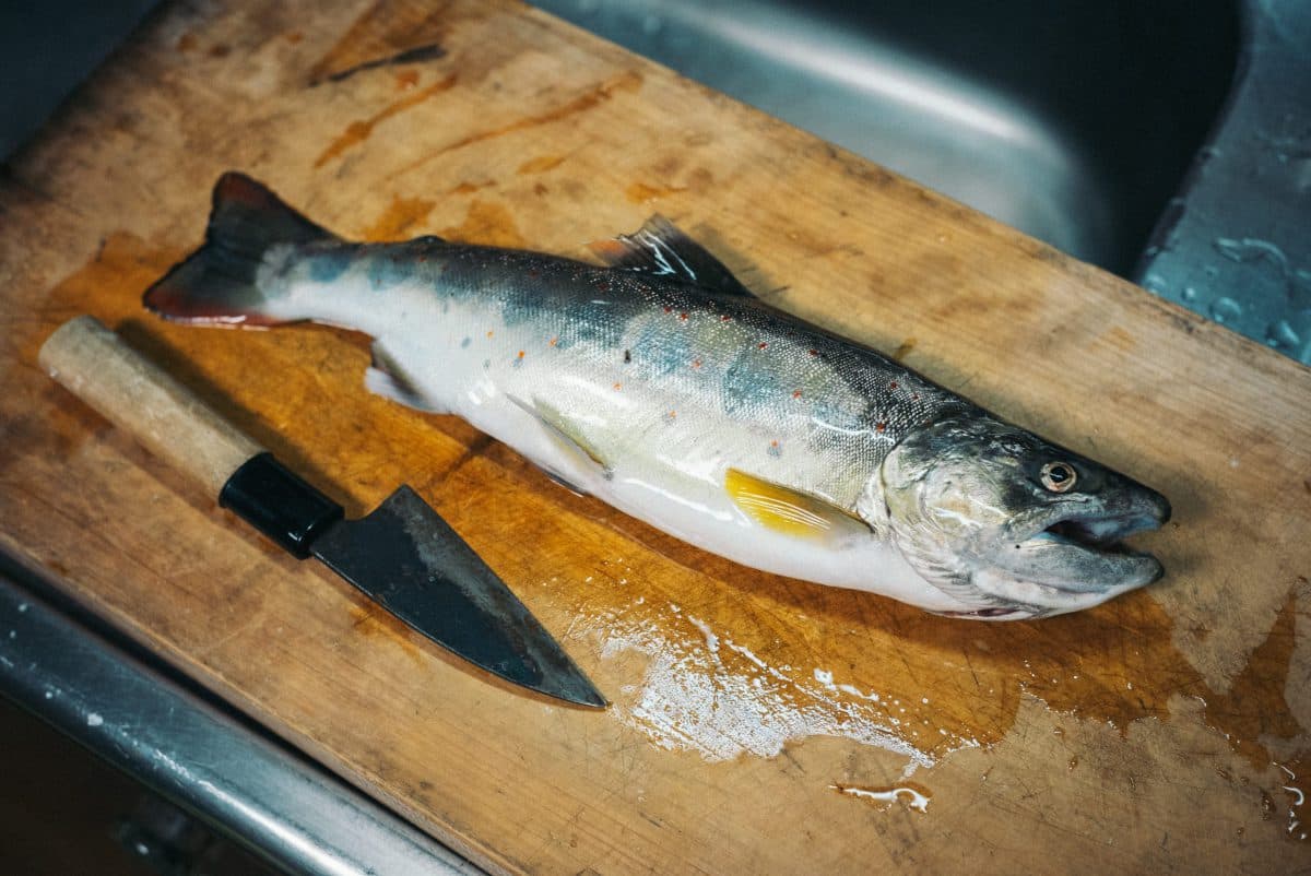 尺アマゴ 33cm！ シルバークリークミノー