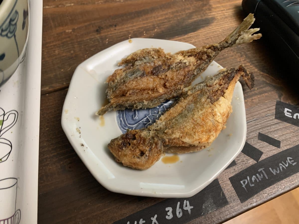 【アジ釣り】ベイトの居る漁港でライズするアジを狙う