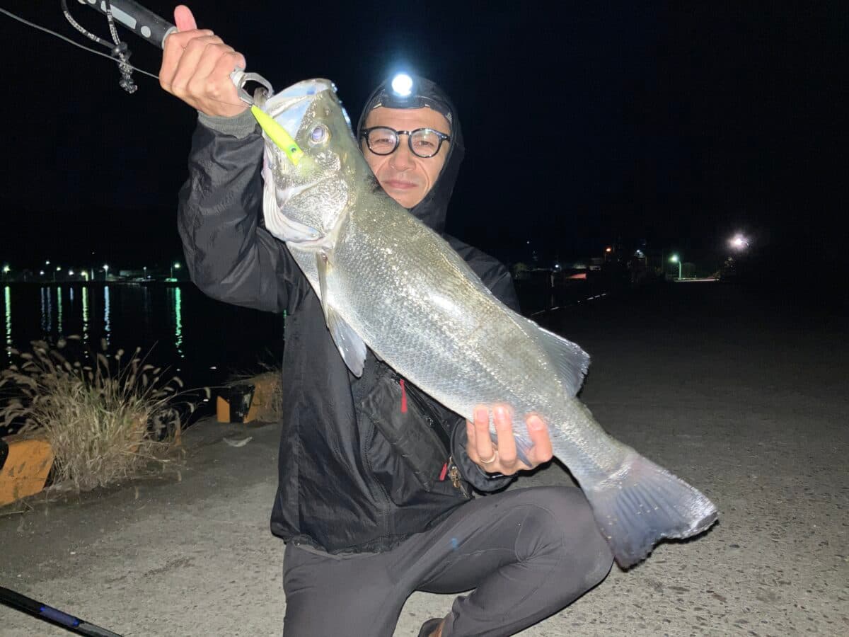 2025年秋も、ランカーヒラスズキは釣れたのか？