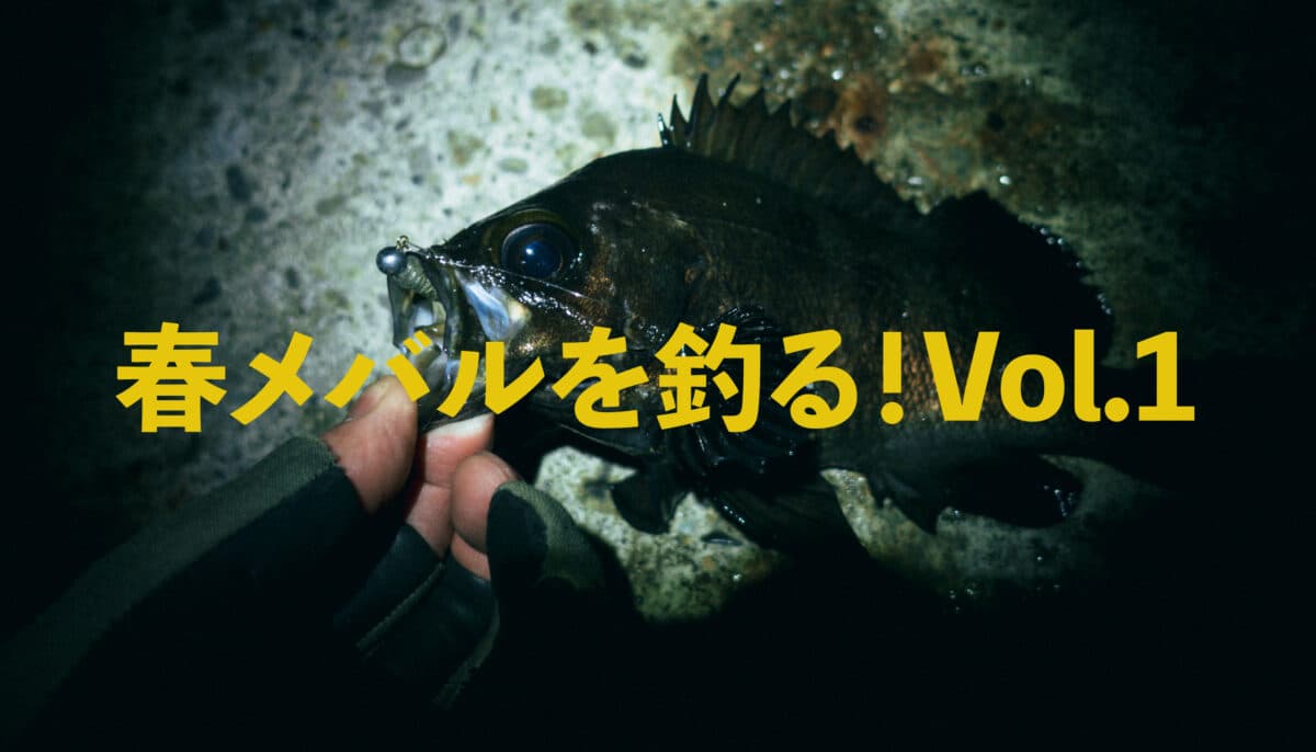 春メバルを釣る！Vol.1｜動き出す条件を完全解説