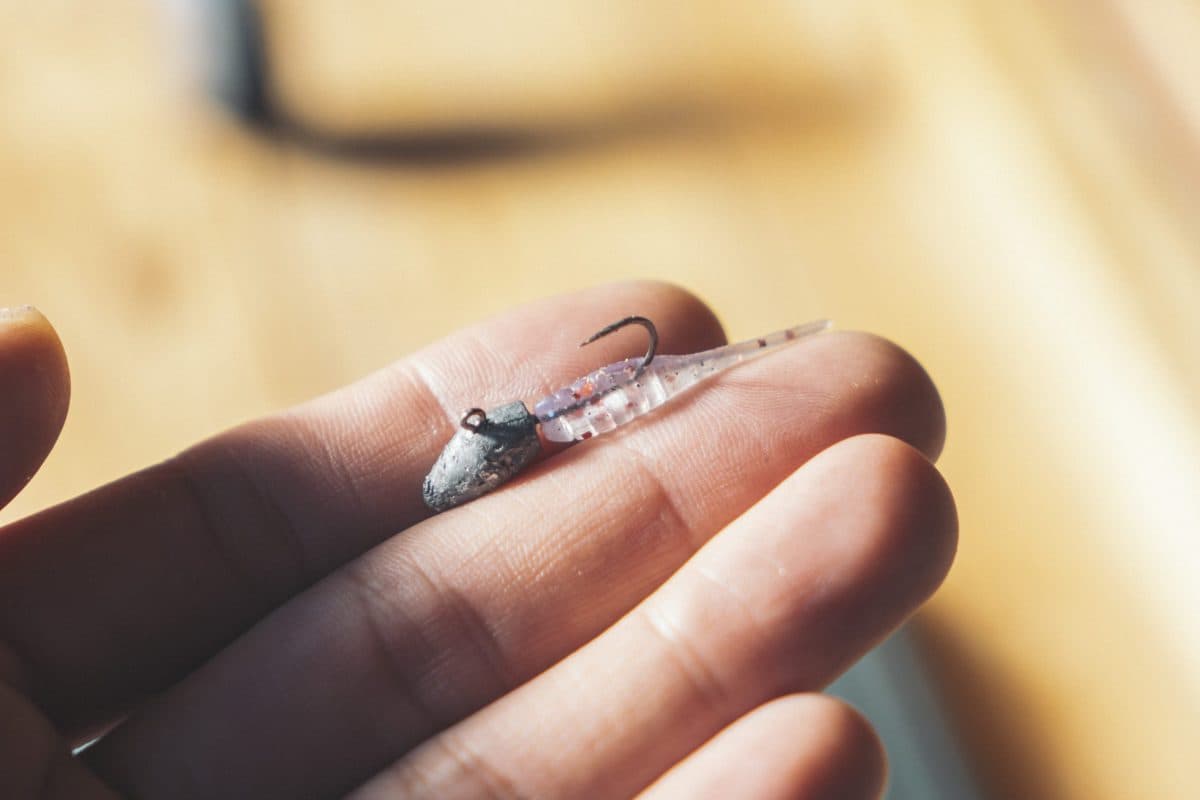【ガシラ】極寒すぎて魚が釣れない時にはカサゴ釣りに限る(2022年釣行5日目)