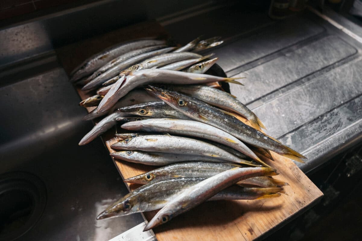 魚