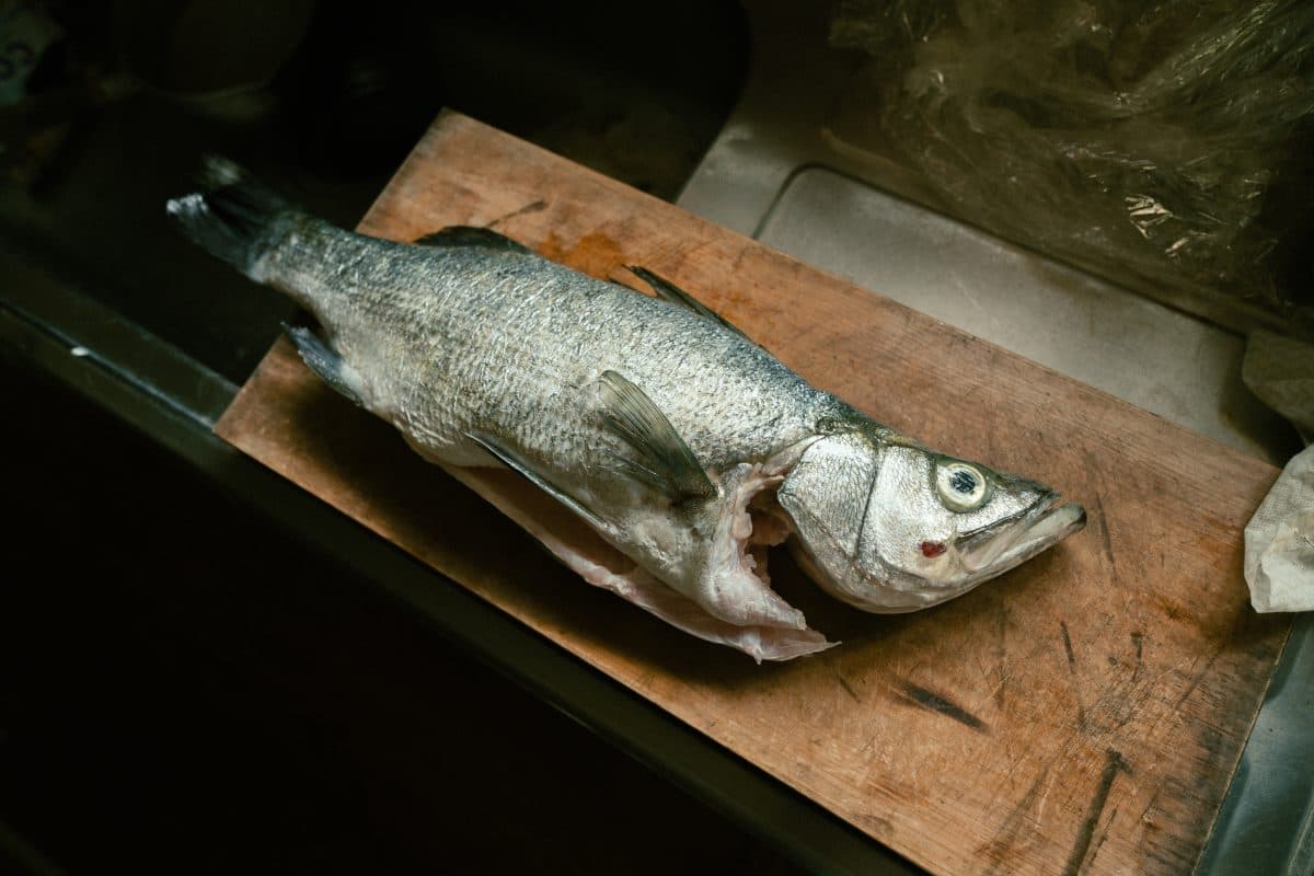 魚