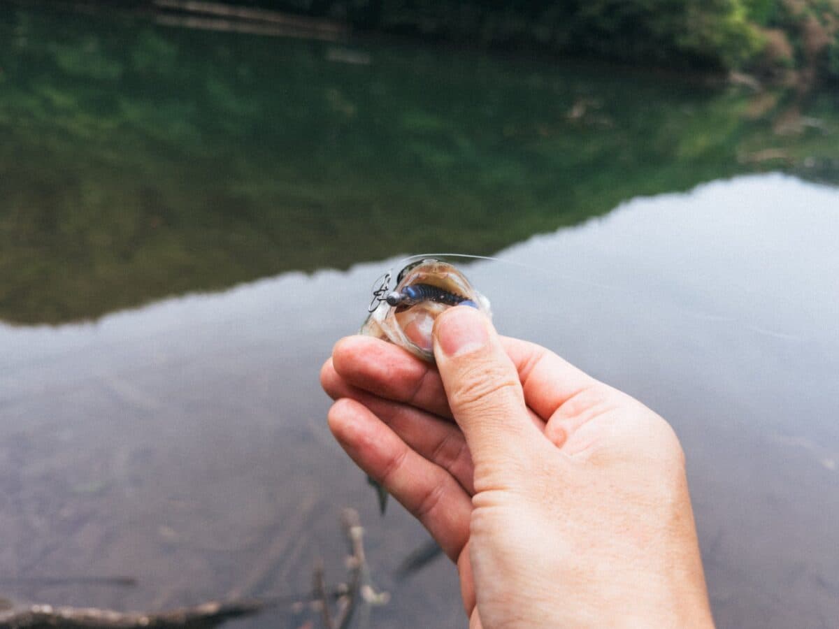 【徳島釣り】バス釣り、こんなに難しかったっけ?