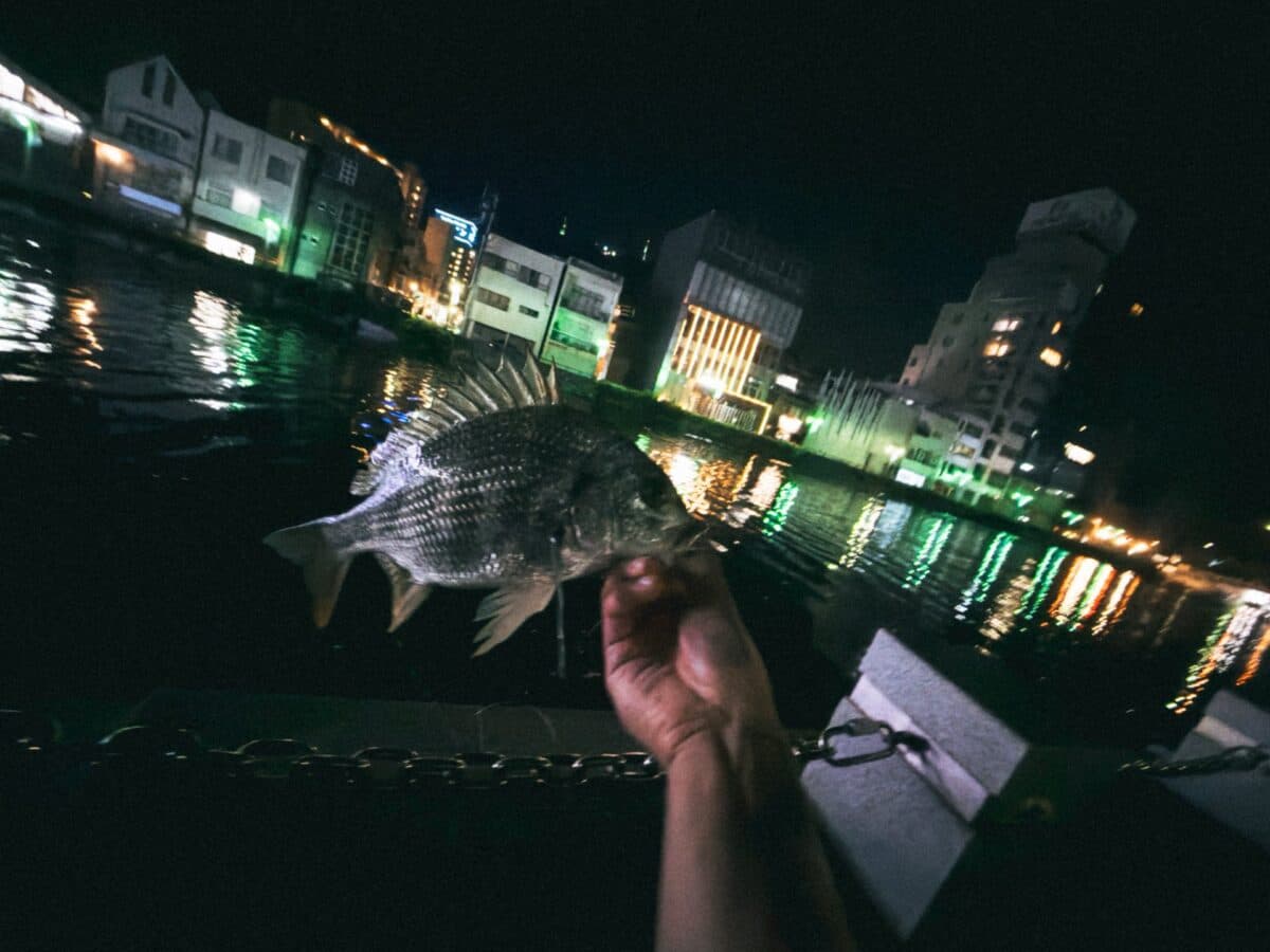 魚