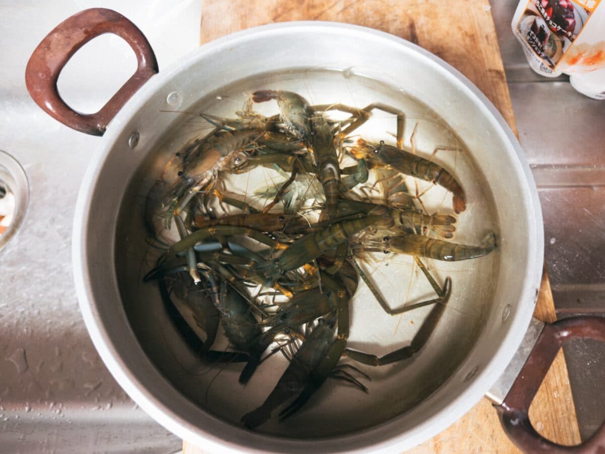 【徳島県】毎年恒例!テナガエビ獲り