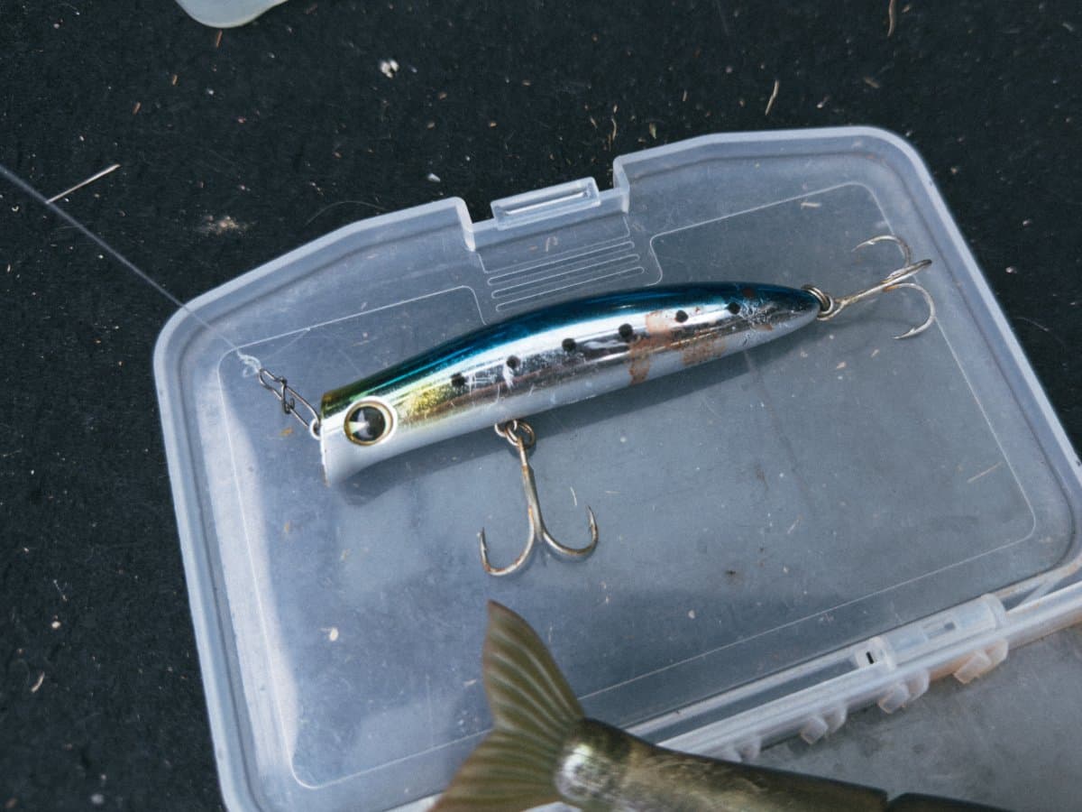 HL Fishing