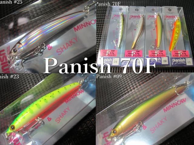 パニッシュ70F